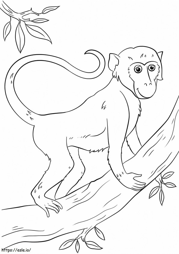 Lindo mono en una rama para colorear