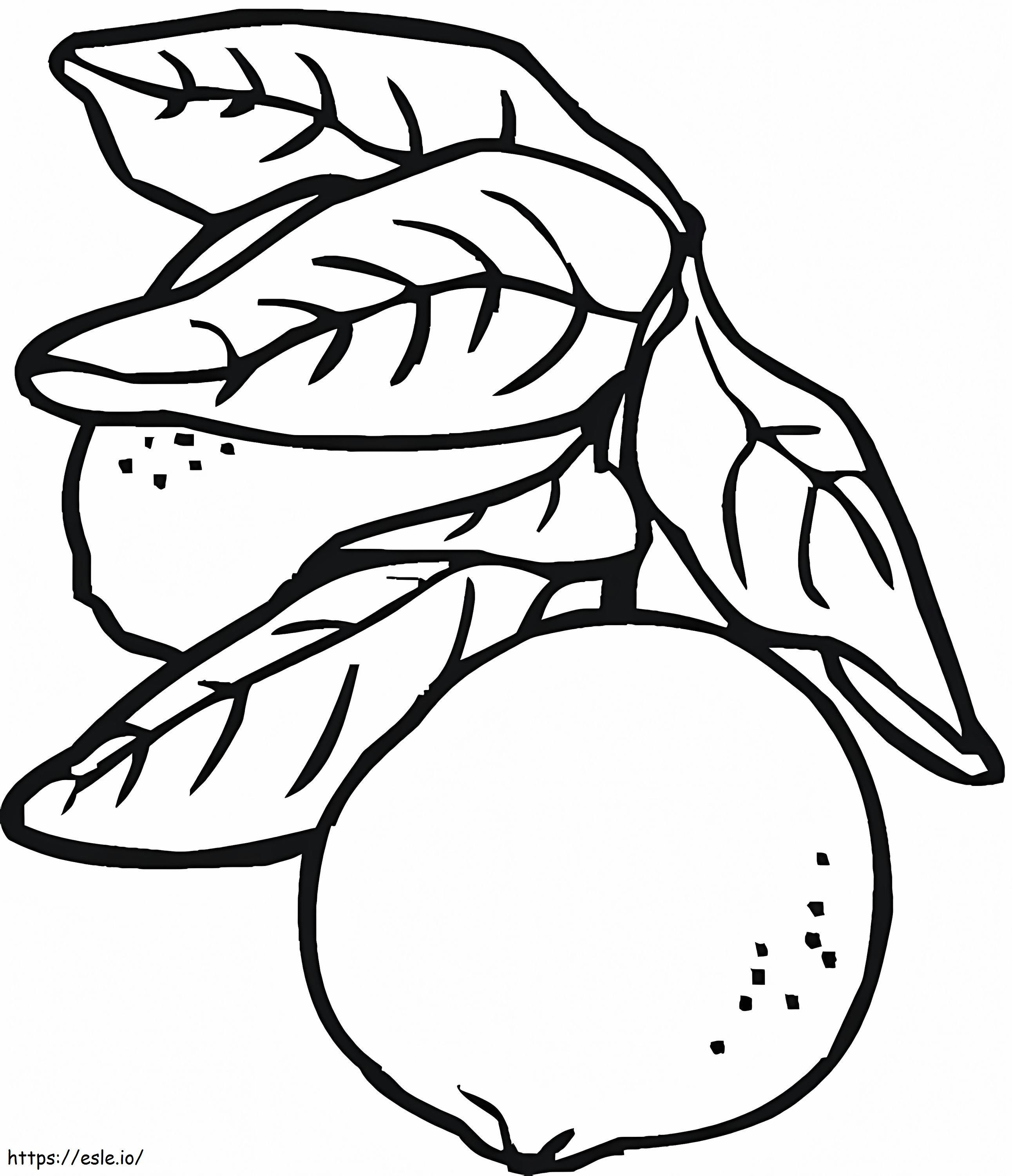 Coloriage Deux citrons avec des feuilles à imprimer dessin