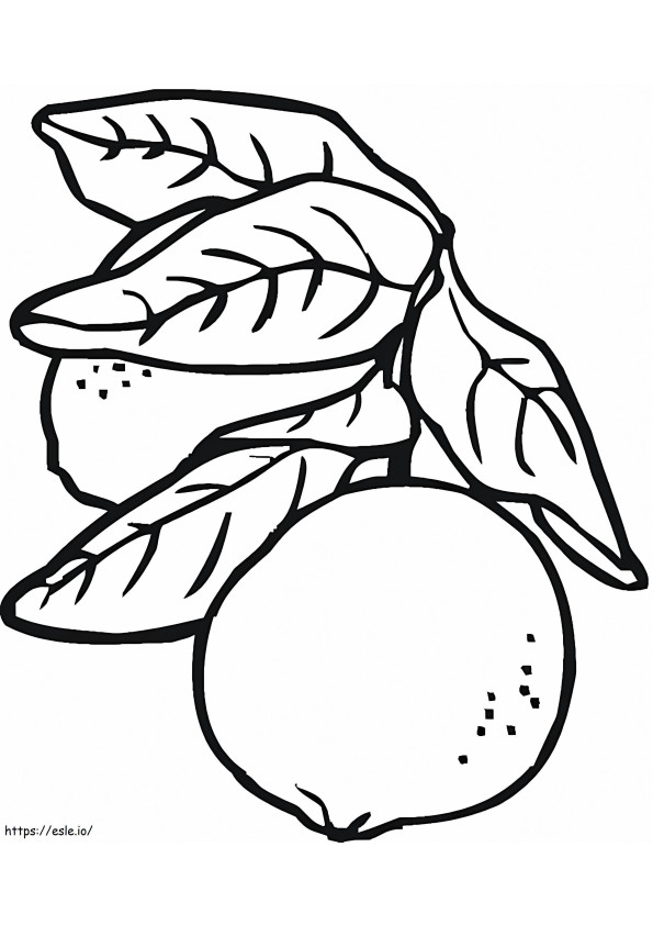 Coloriage Deux citrons avec des feuilles à imprimer dessin