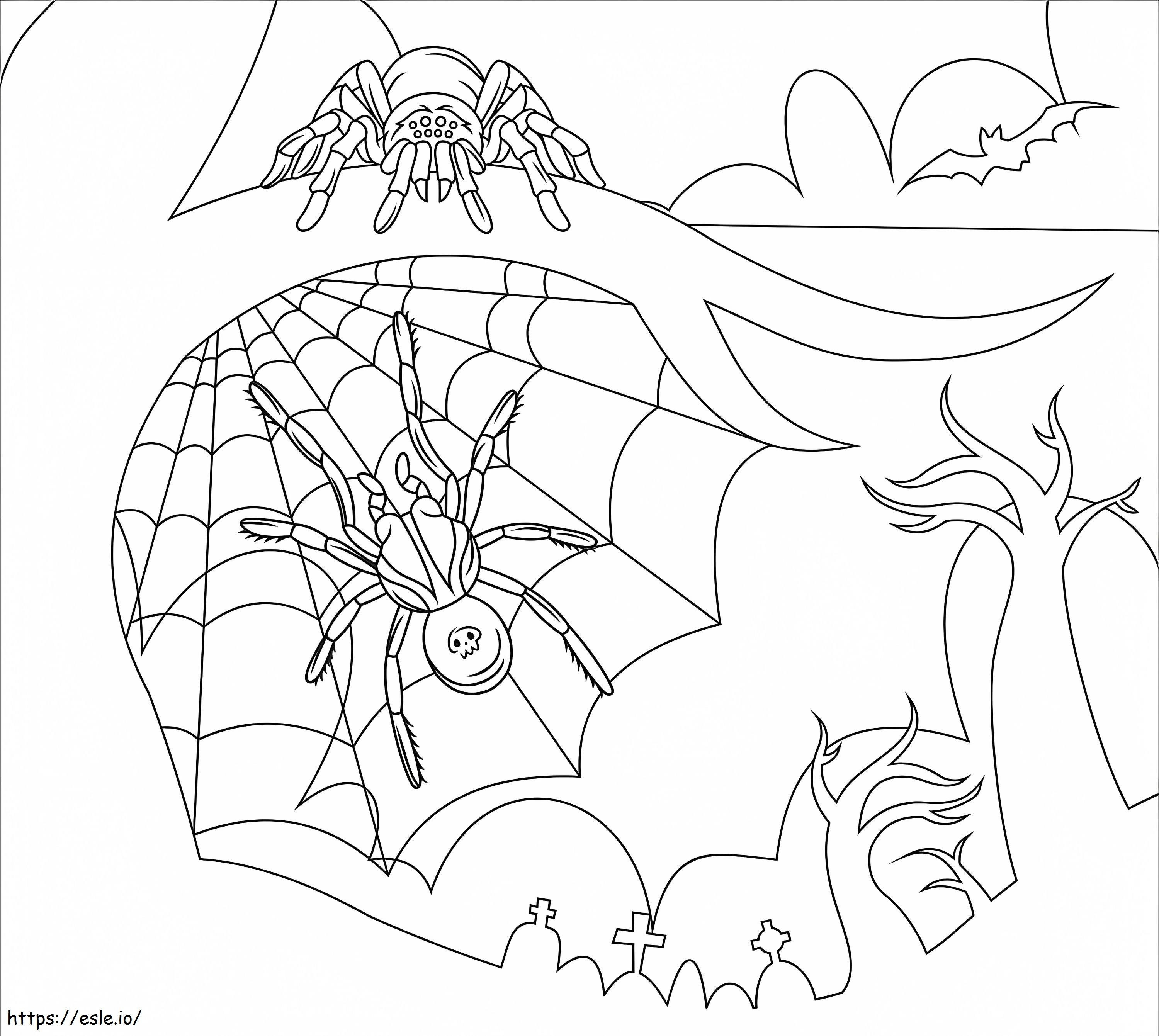 Two Spiders coloring page