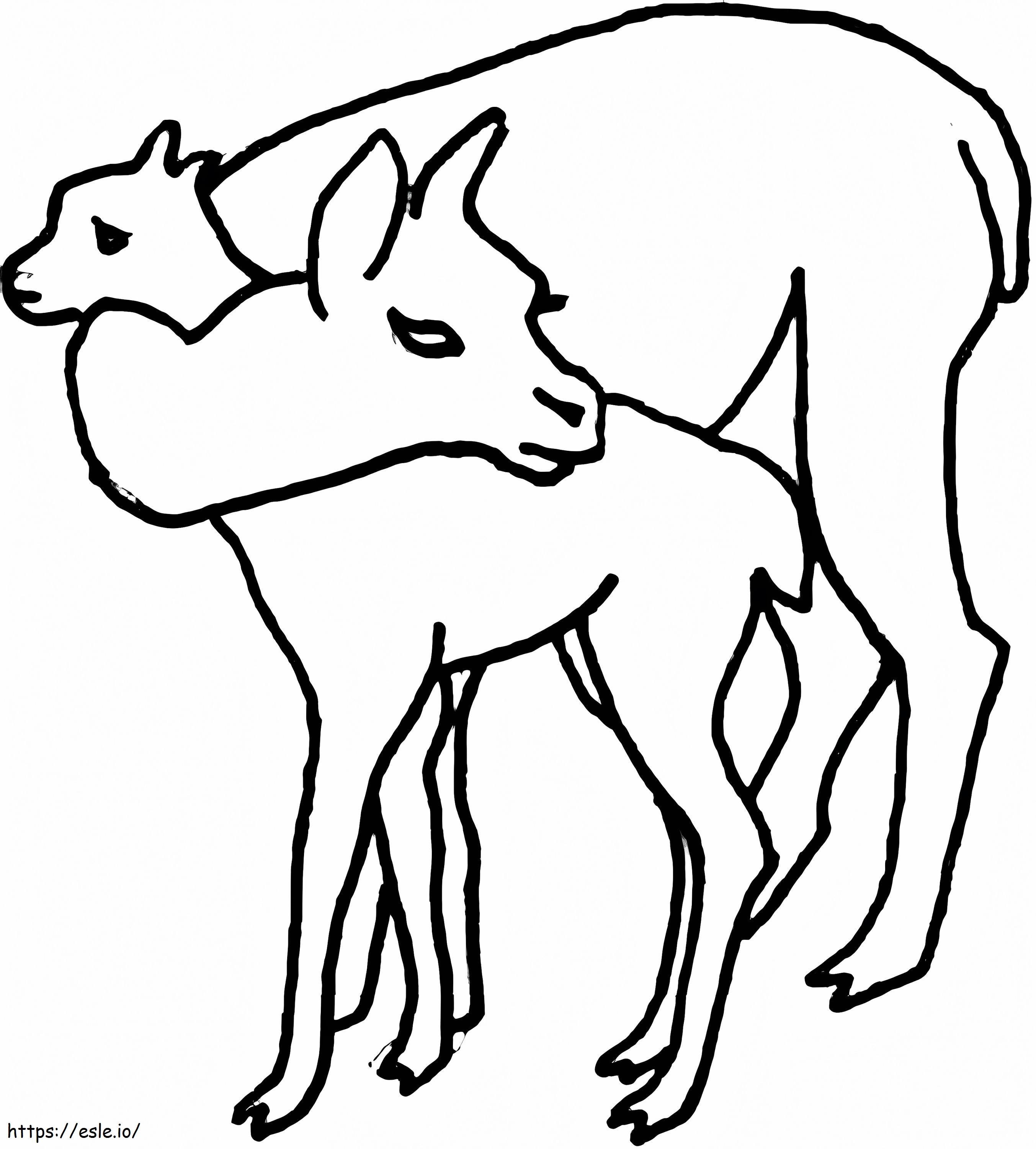 Disegno Madre E Bambino Alpaca Da Colorare Gratis Da Stampare