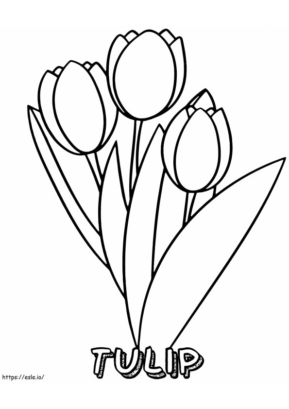 Tulipano di base da colorare