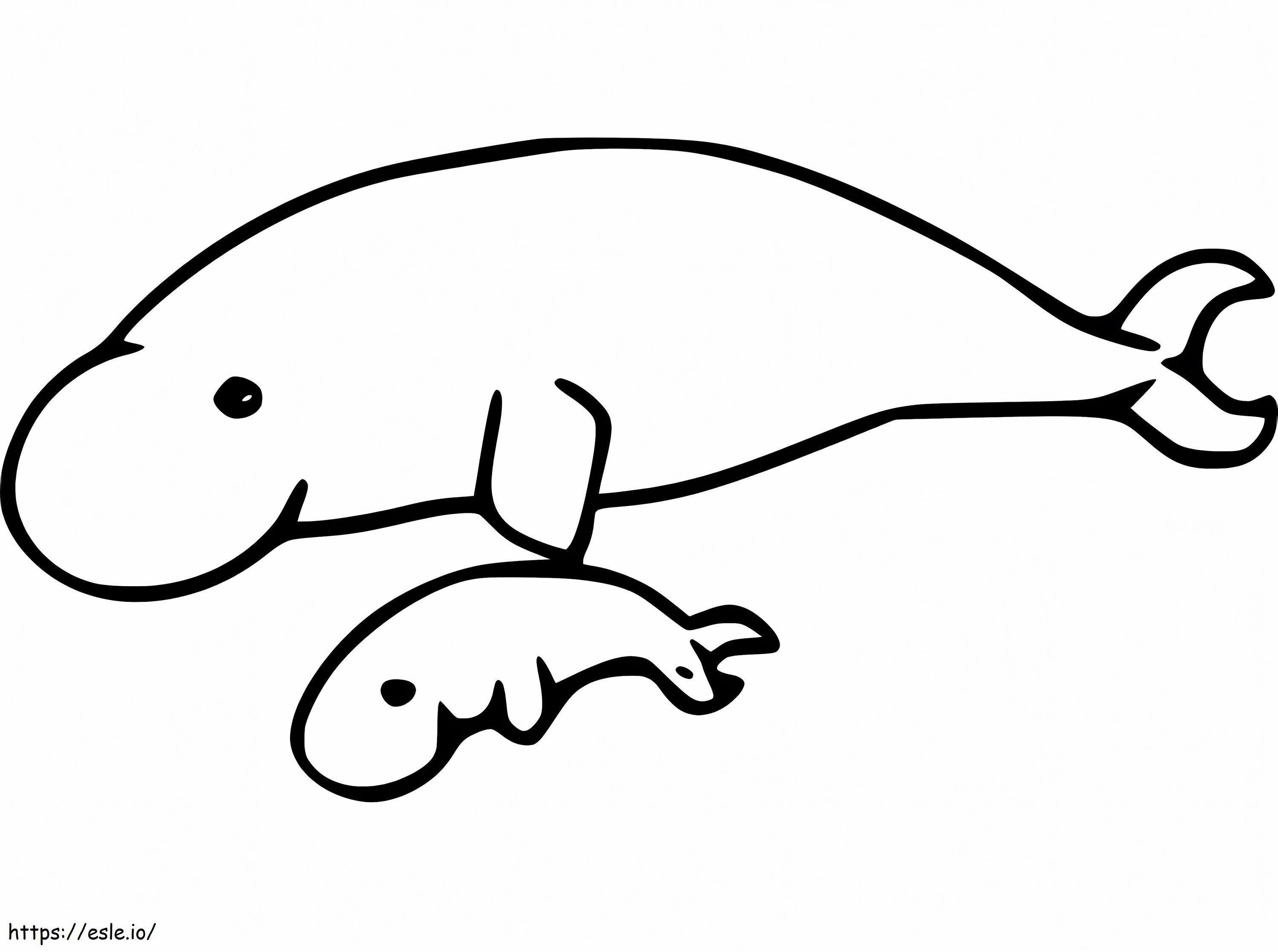Bebekli Dugong boyama