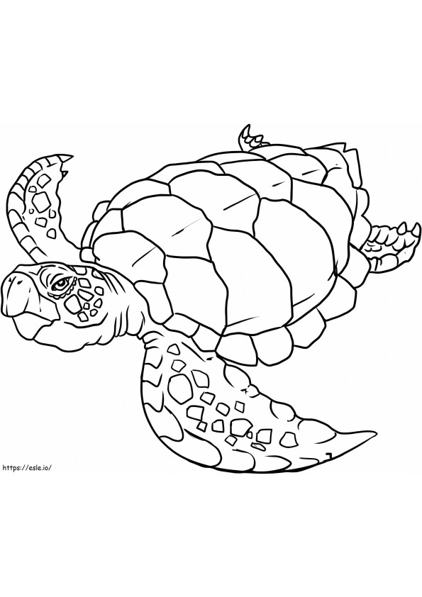 Tartaruga che nuota 1 da colorare