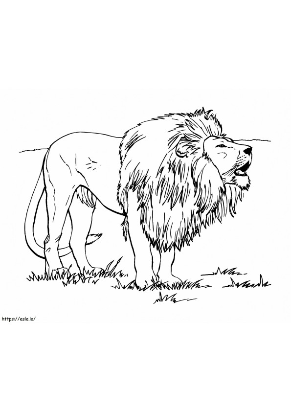 Lion A Letat Sauvage coloring page