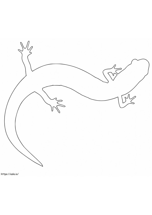 Salamander Outline coloring page