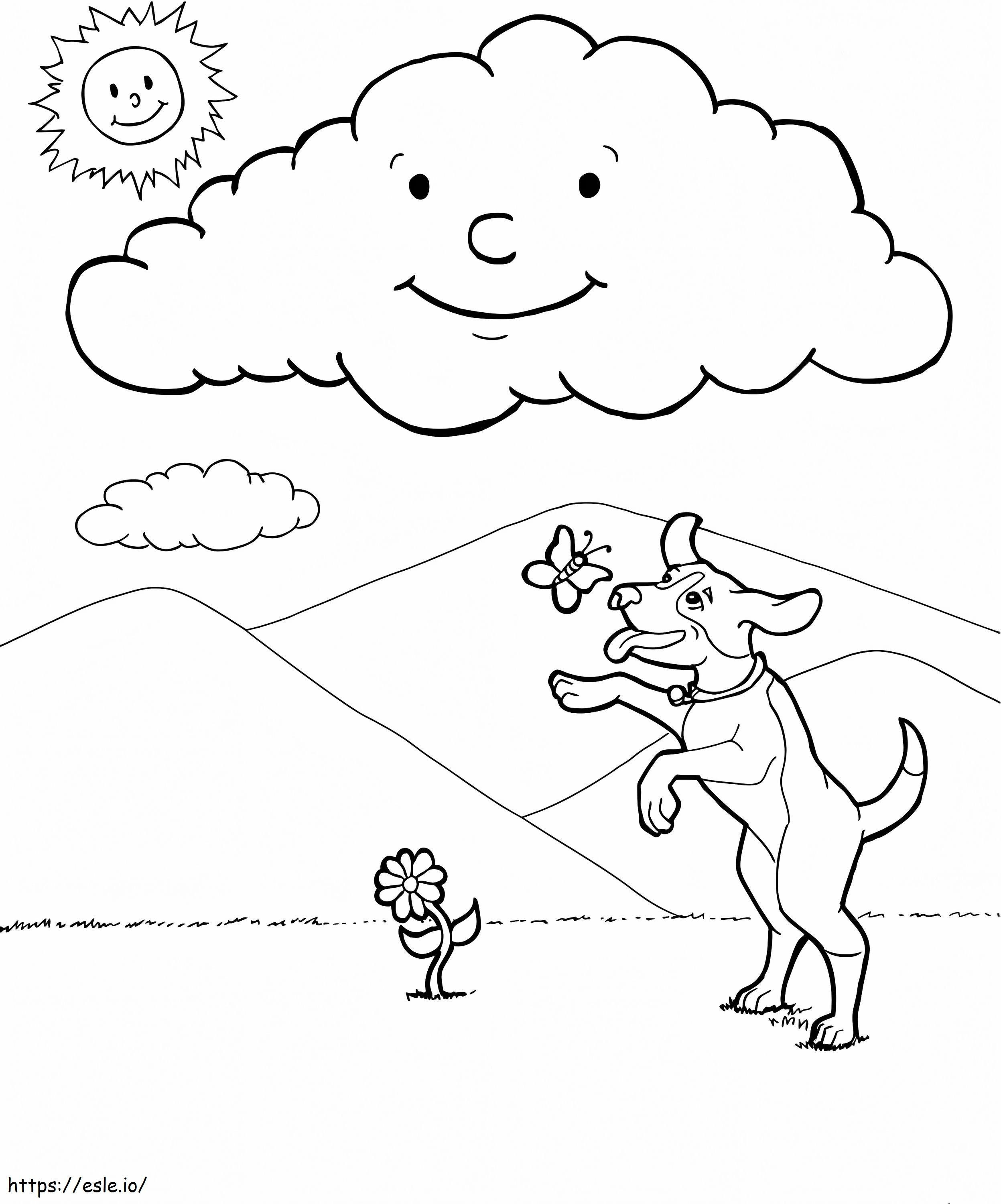 Types Of Weather coloring page