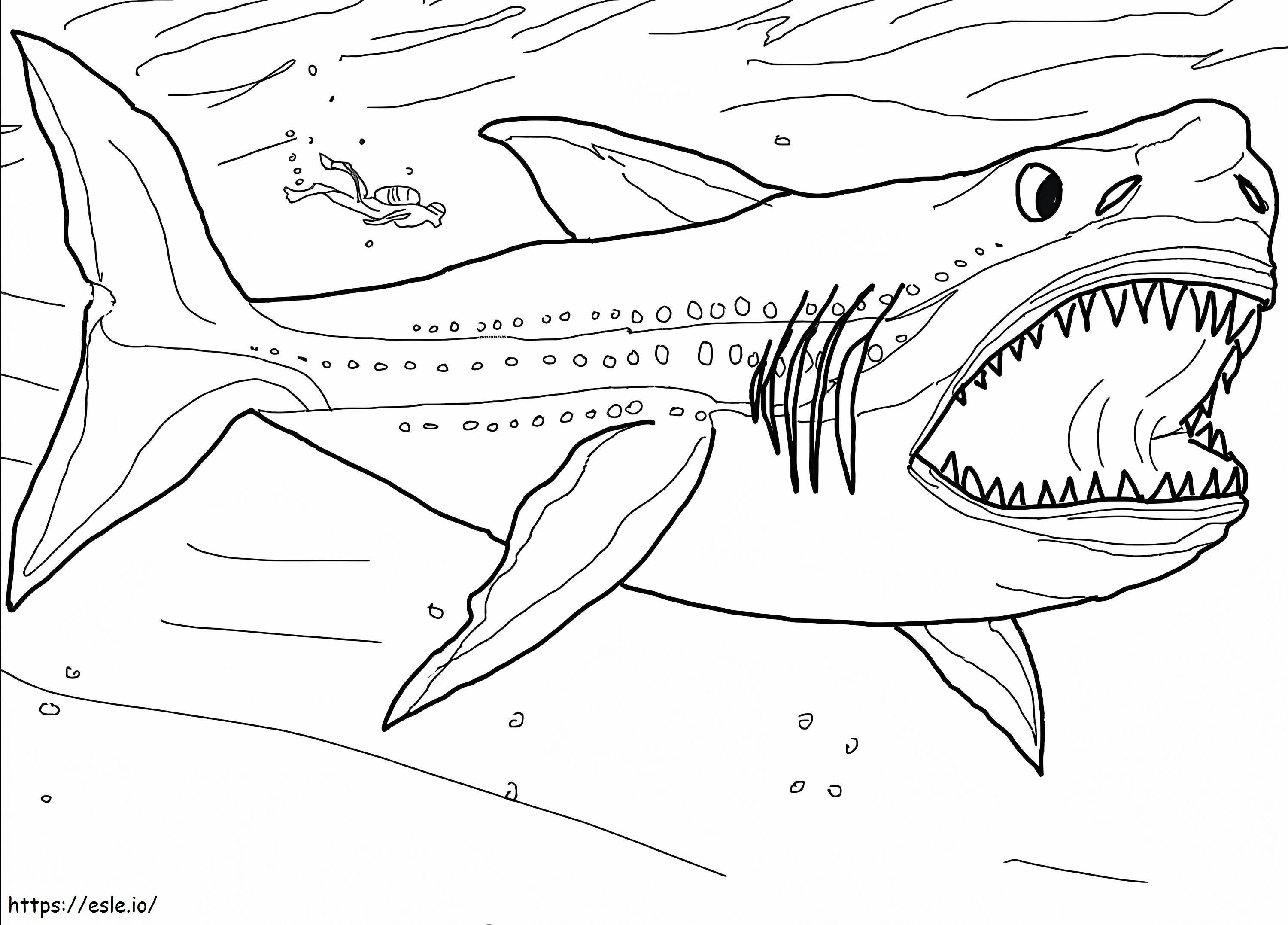 Tubarão Megalodonte para colorir