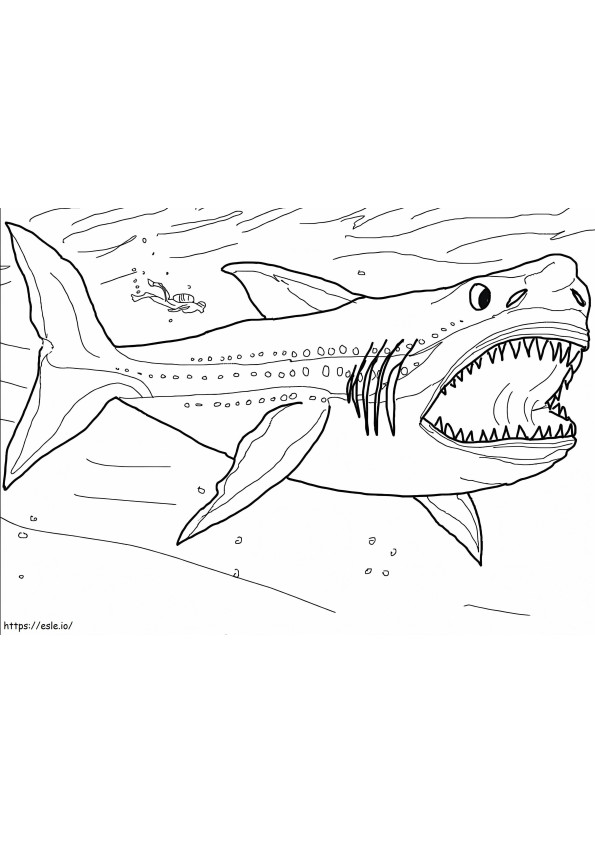 Megalodon-hai värityskuva