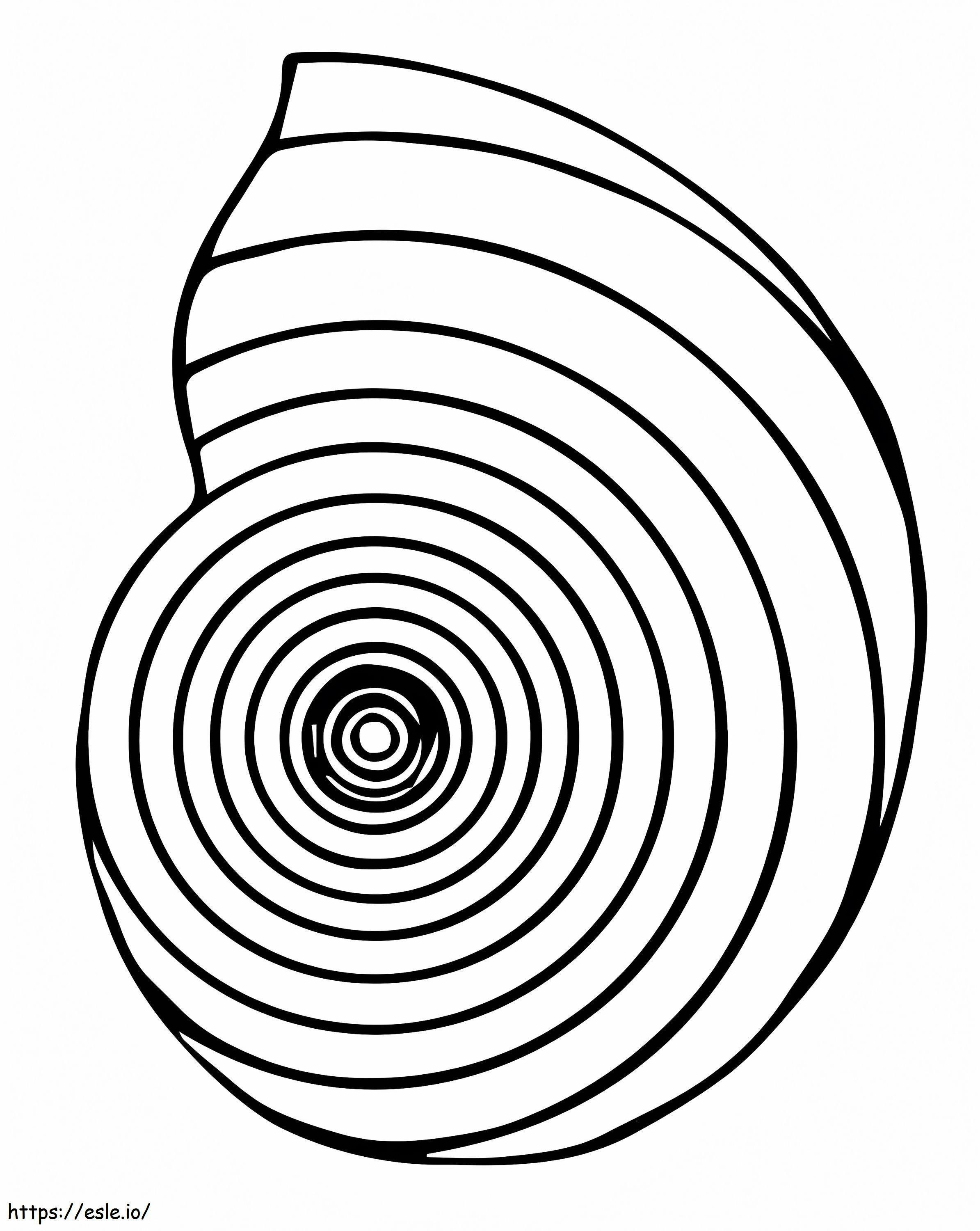 Nautilus Shell coloring page
