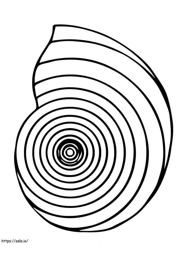 Nautilus Shell coloring page