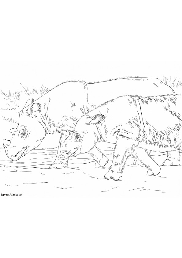 Coloriage Rhinocéros de Sumatra à imprimer dessin
