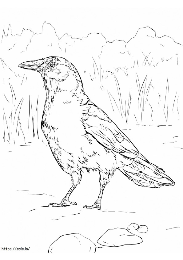 Cuervo 1 coloring page