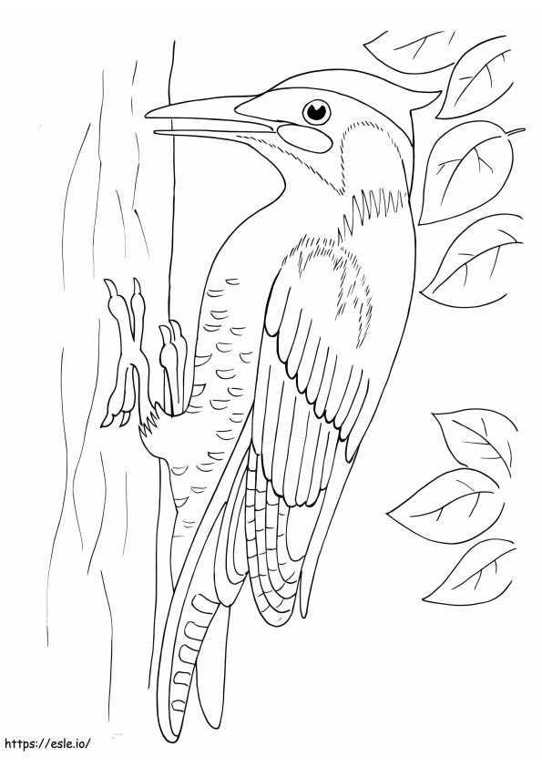 Woodpecker 1 coloring page