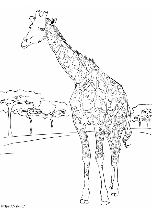 Een wilde giraffe kleurplaat