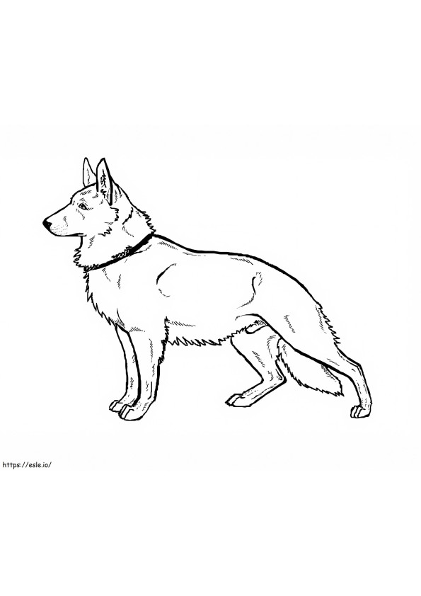 Havalı Alman Çoban Köpeği boyama