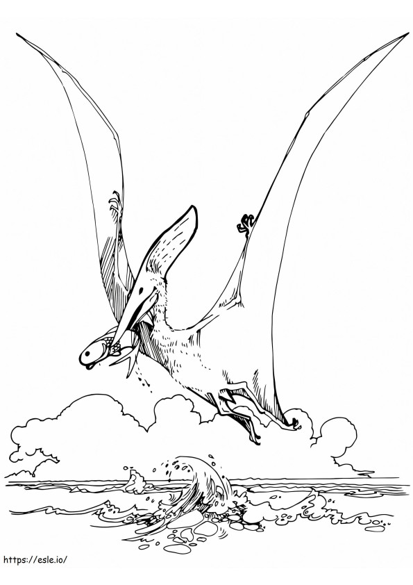 Coloriage Dinosaure Ptéranodon à imprimer dessin