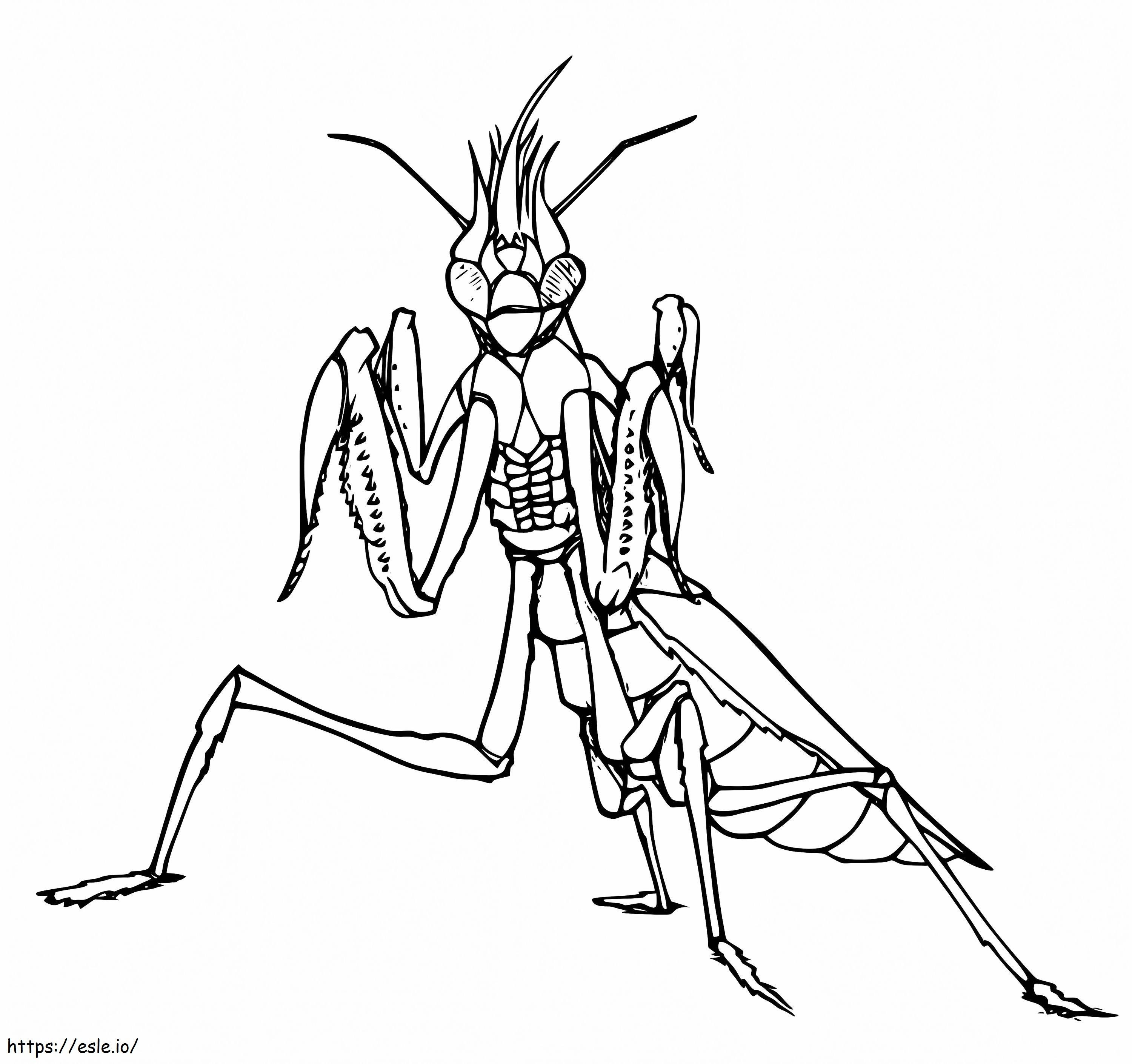 Creepy Praying Mantis coloring page