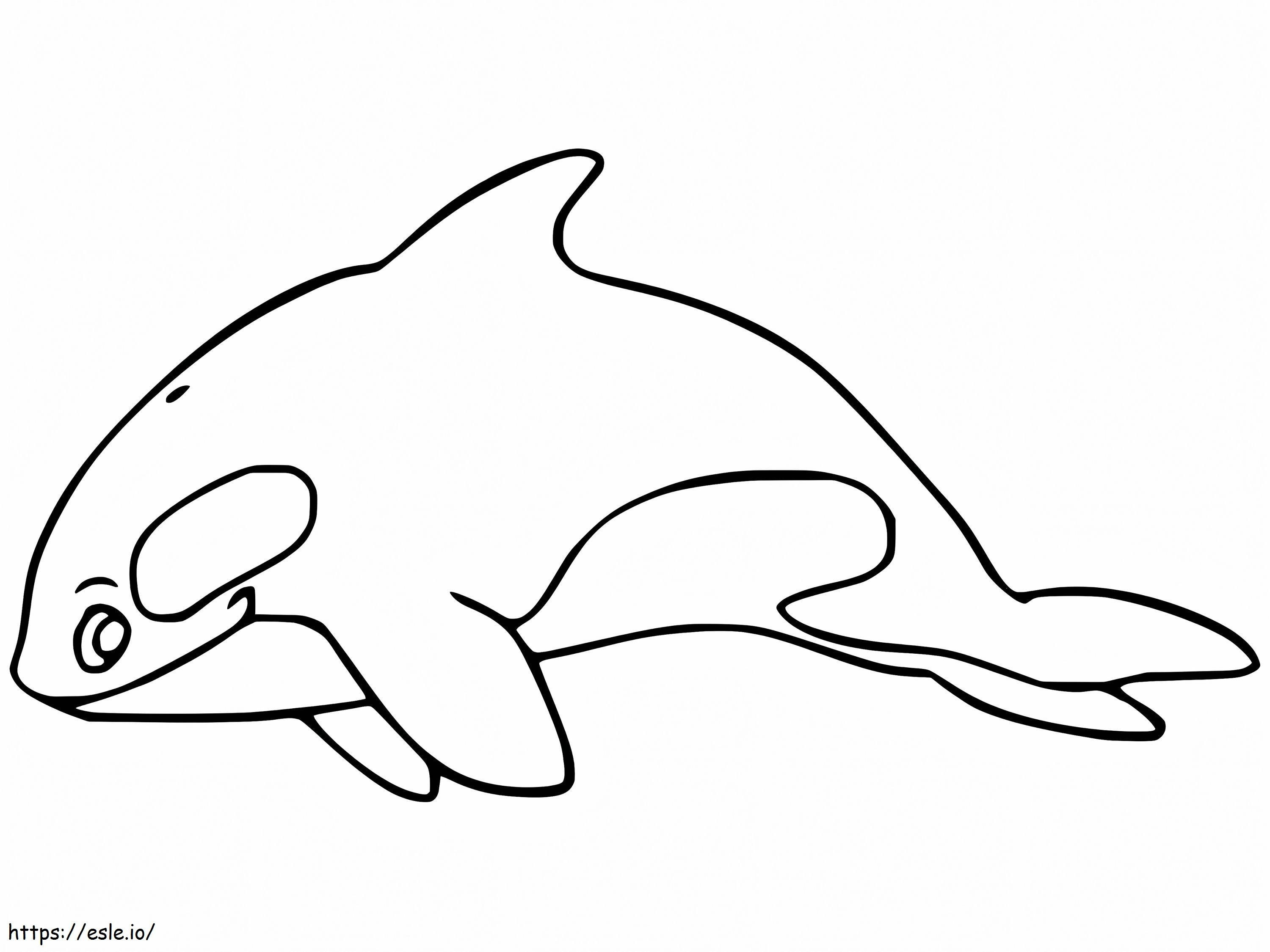 Imprimir baleia assassina para colorir
