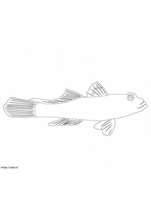 Ikan Mudskipper Sederhana Gambar Mewarnai