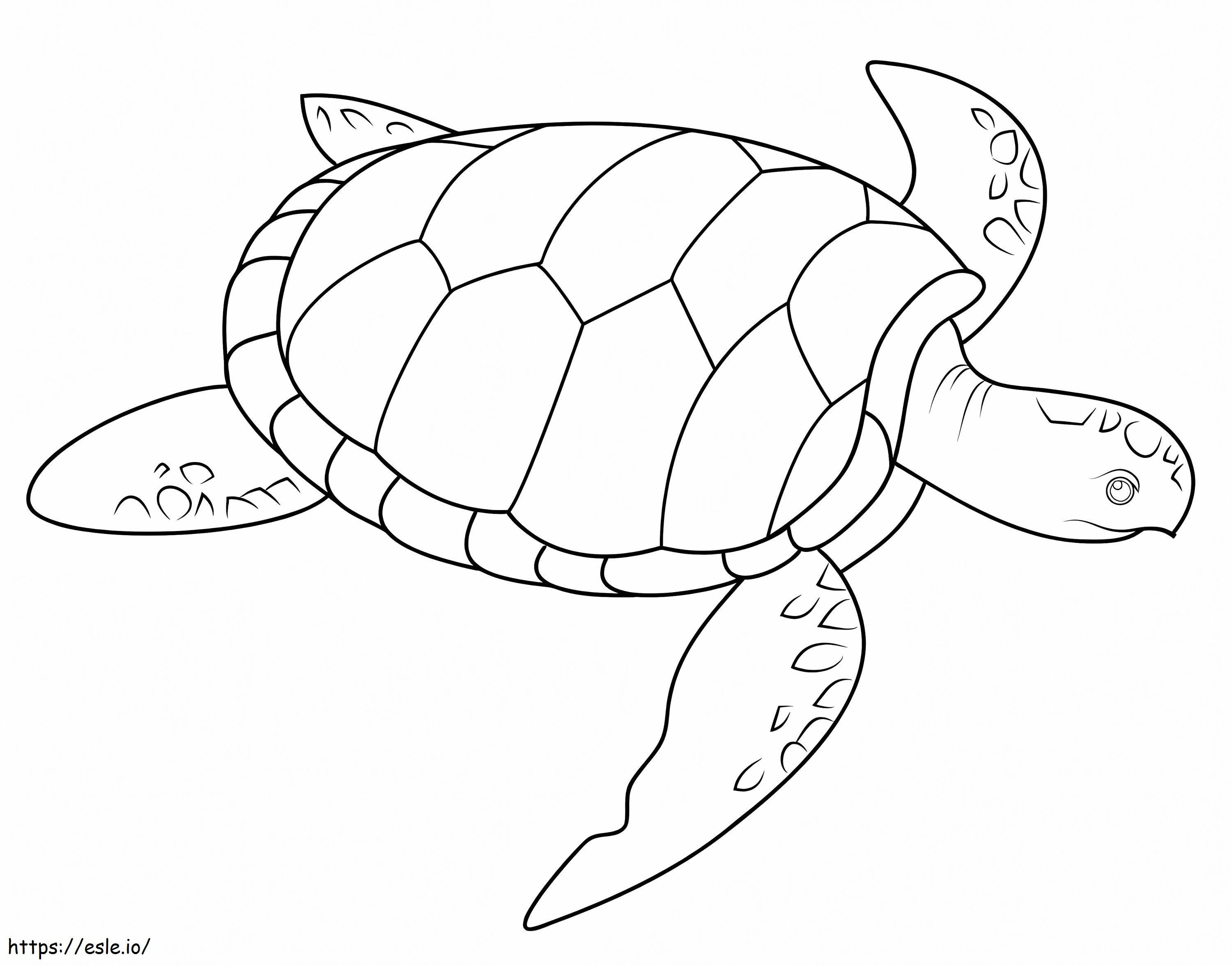 Deniz kaplumbağası boyama