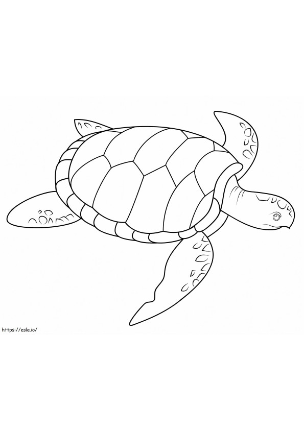 Zeeschildpad kleurplaat
