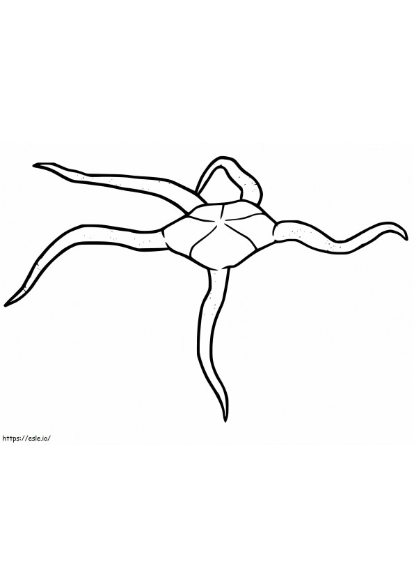 Normal Brittle Star coloring page