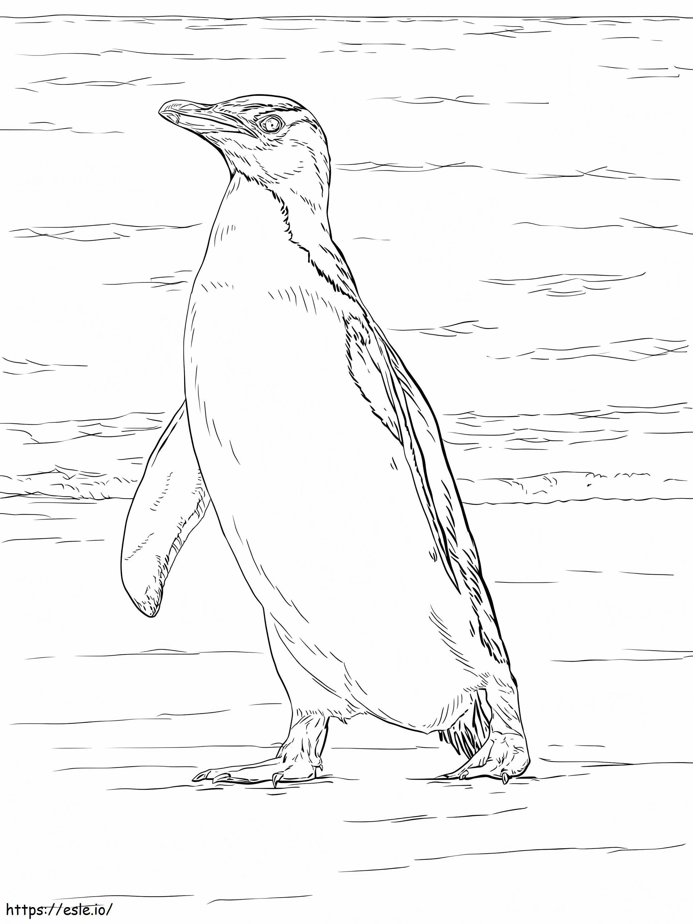 Yellow Eyed Penguin coloring page