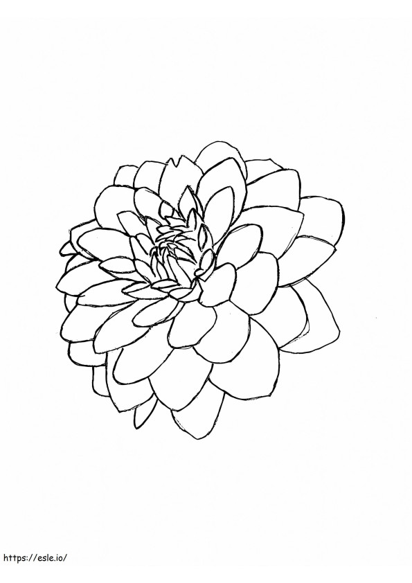 印刷可能なダリアの花 ぬりえ - 塗り絵