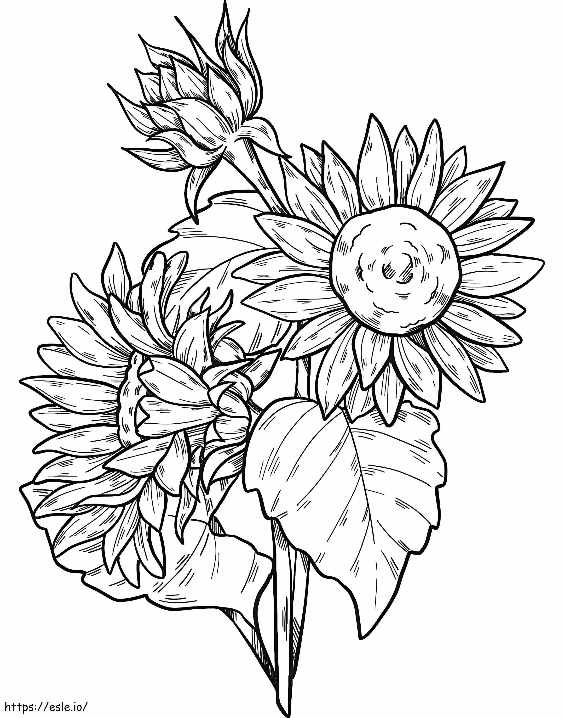 Beautiful Sunflowers coloring page