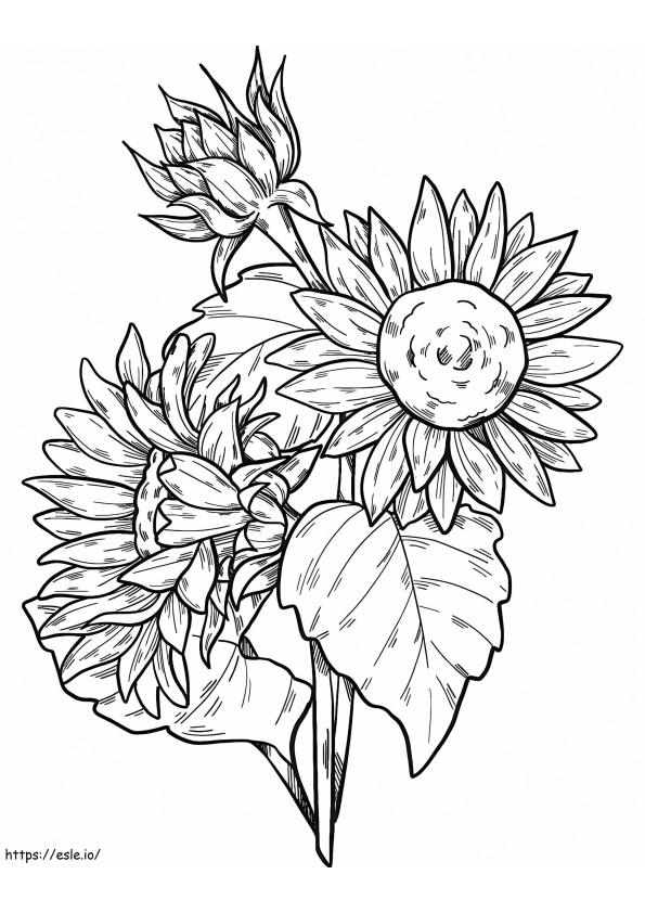 Beautiful Sunflowers coloring page