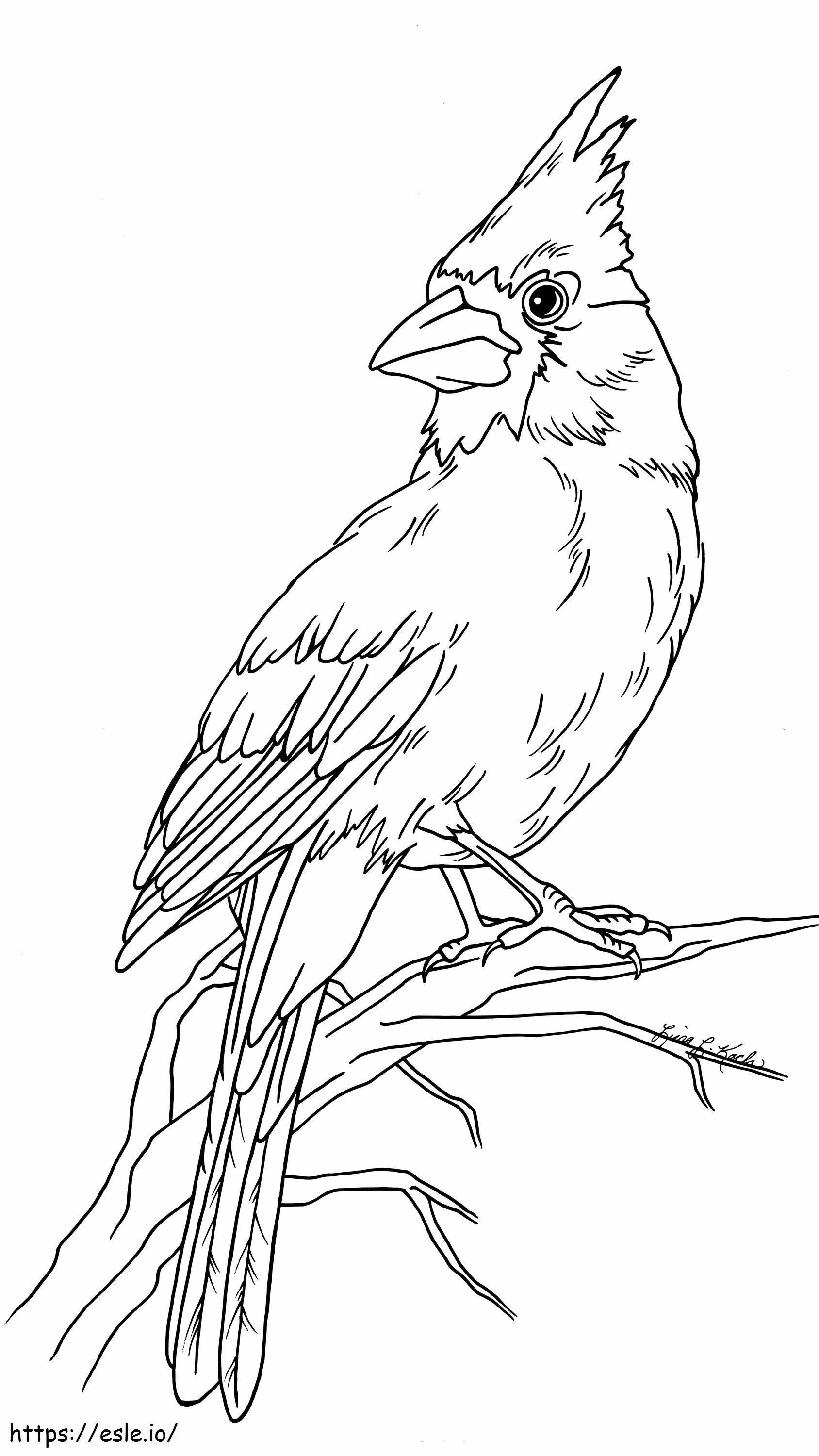 Printable Cardinal Scaled coloring page