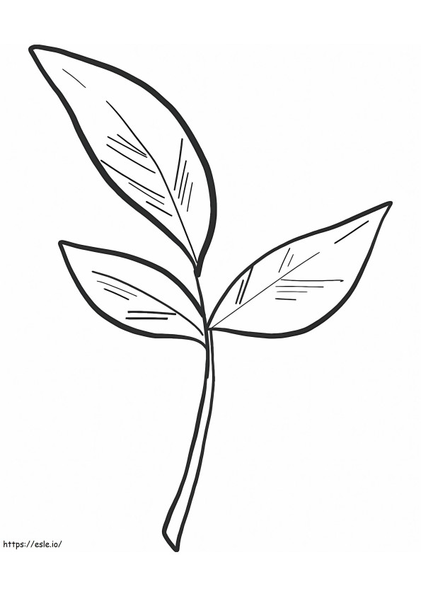 Fall Leaves 1 coloring page