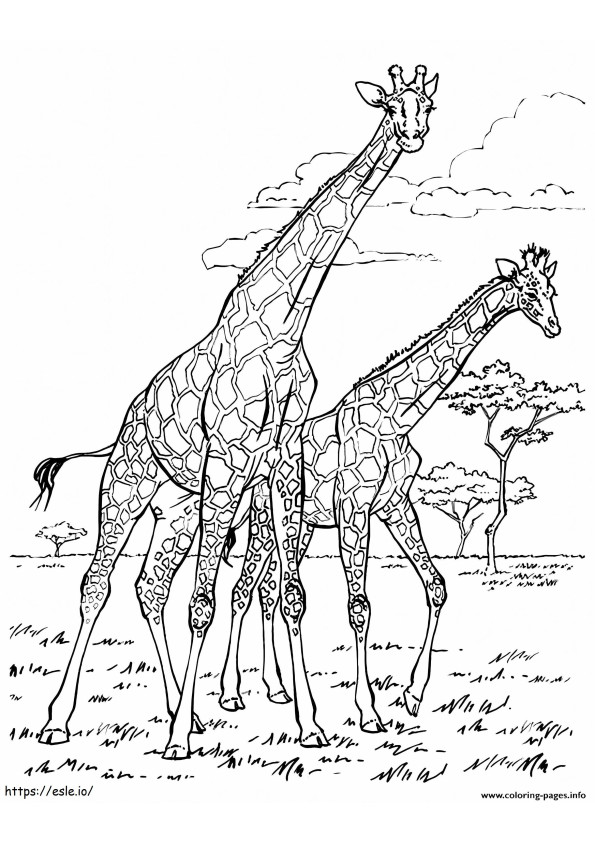 1529034307 Adult Africa Giraffes coloring page