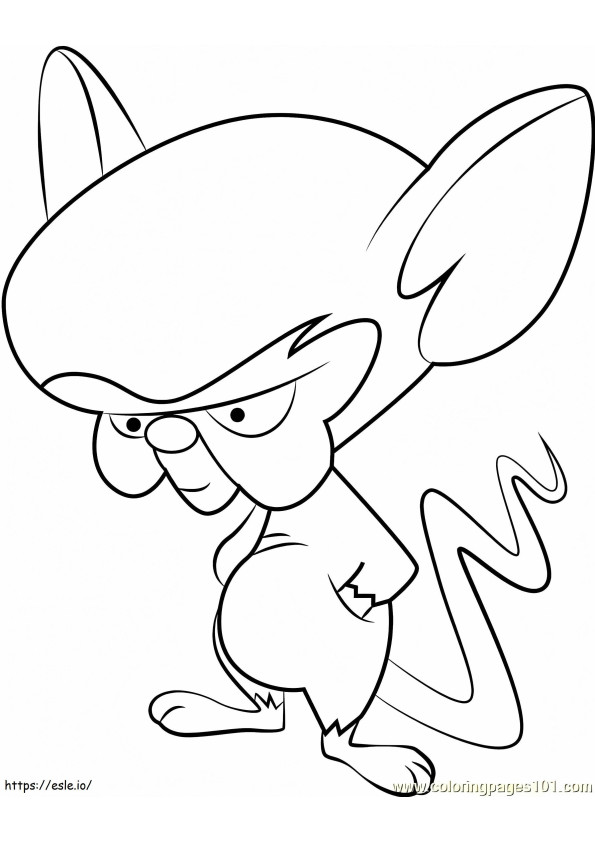 Cervello da Pinky e il cervello
