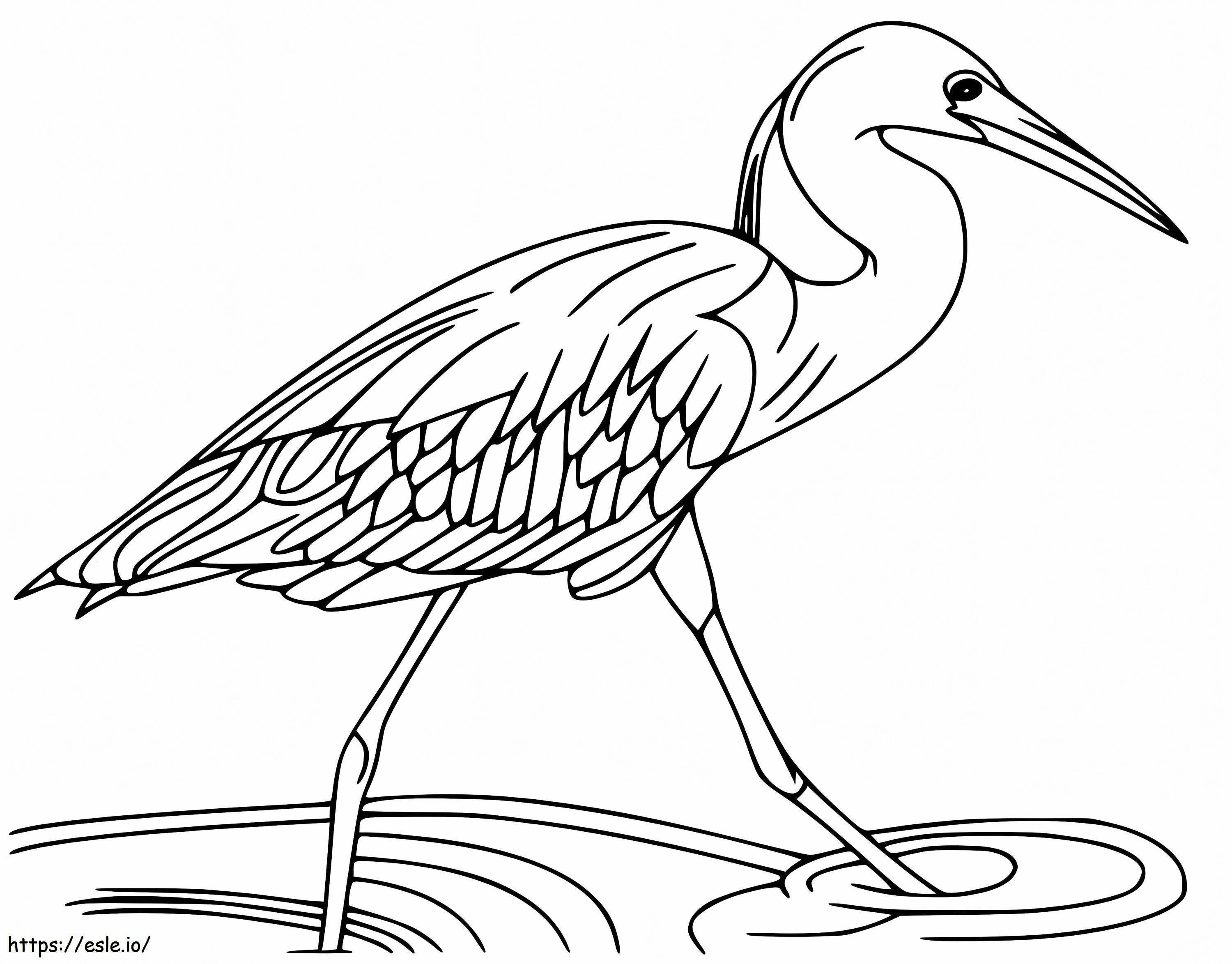 Egretă Mergând de colorat