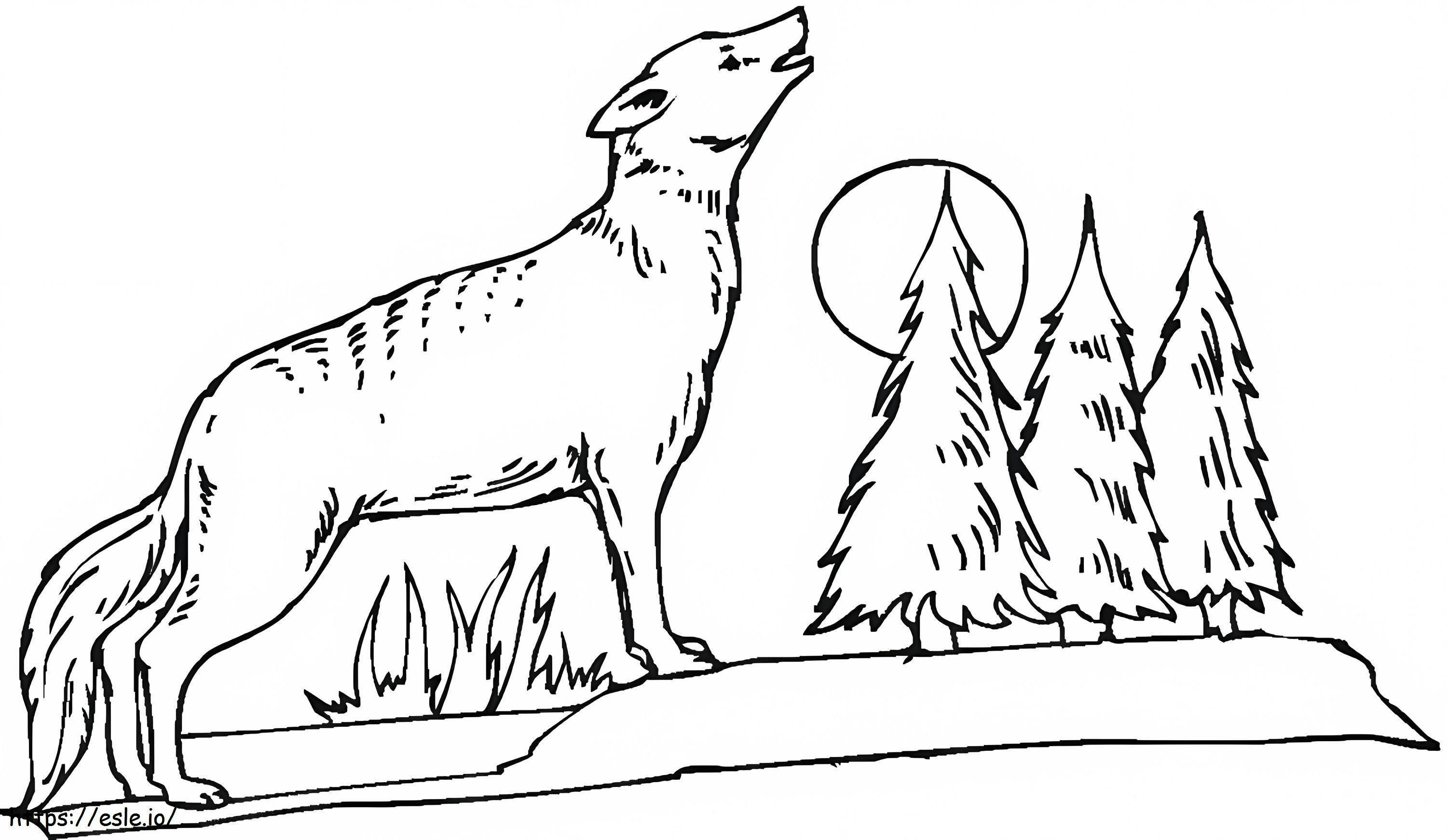 Kojote im Wald ausmalbilder