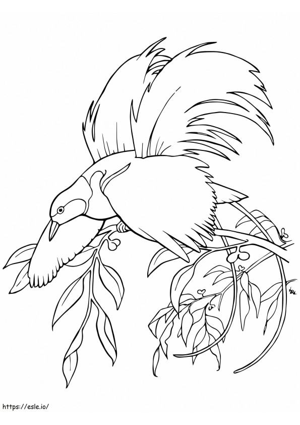 Greater Bird Of Paradise coloring page