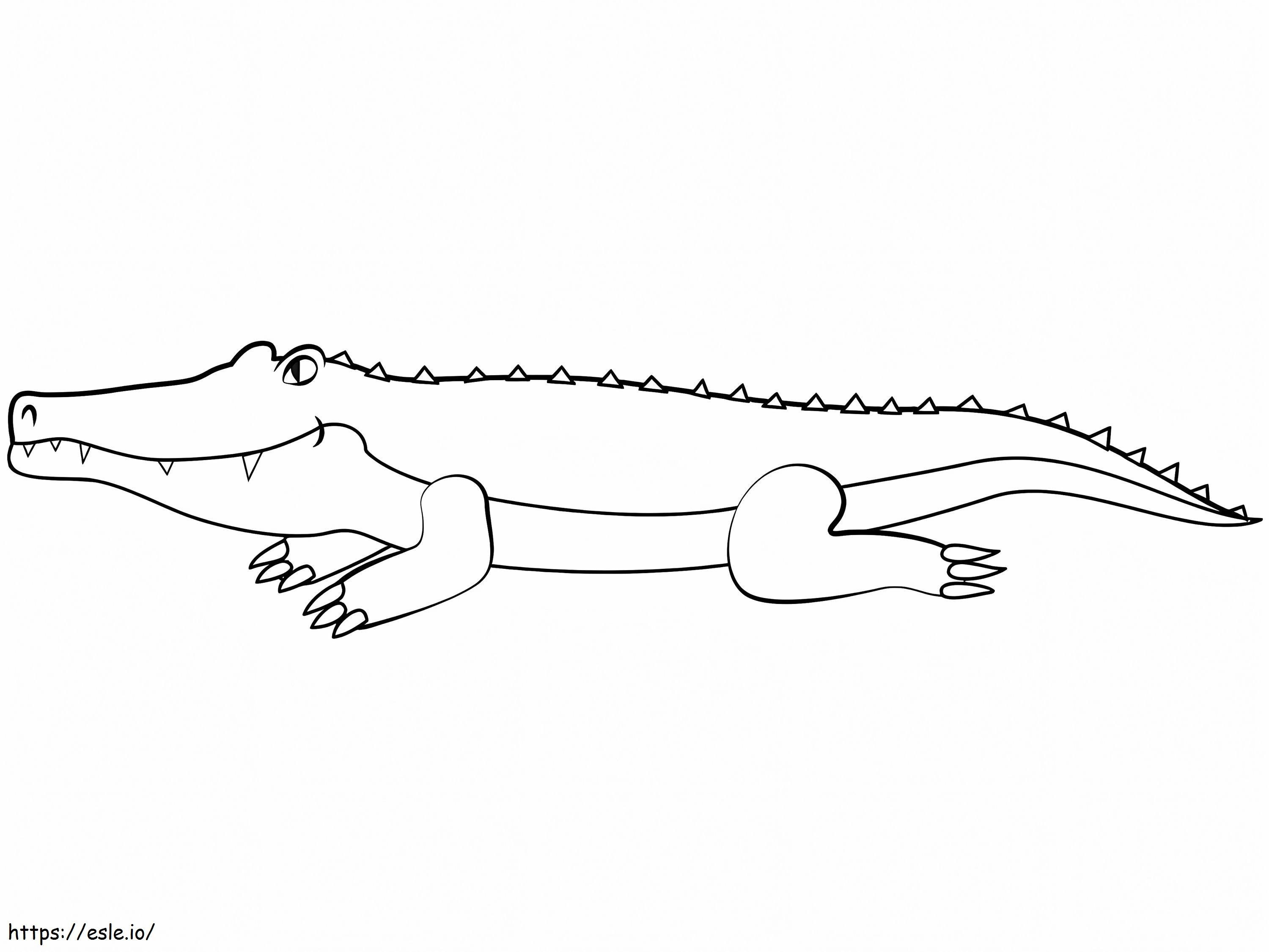 Normalny aligator kolorowanka