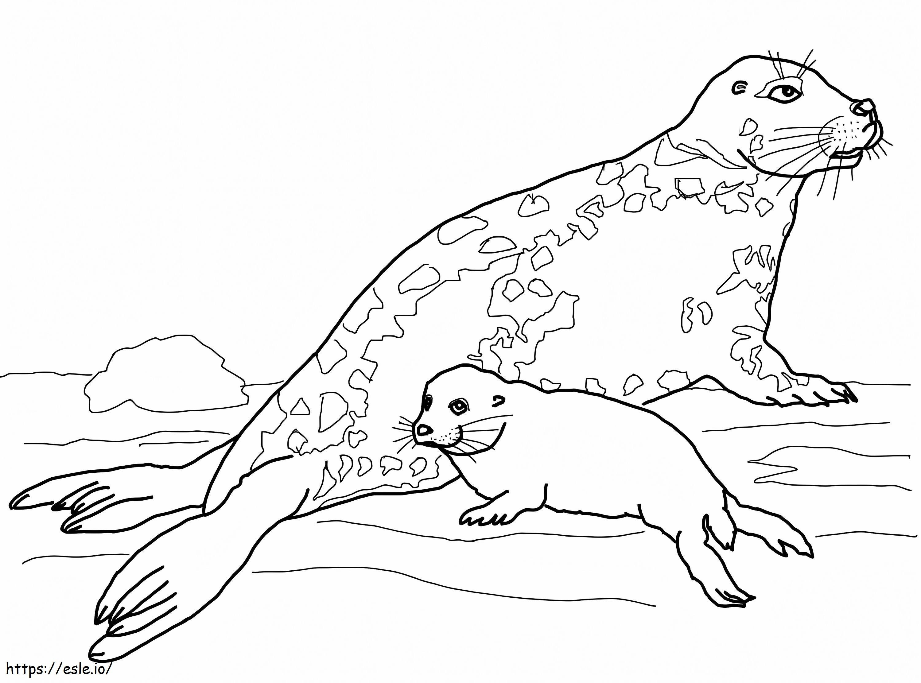 Coloriage Mère et bébé phoque gris à imprimer dessin