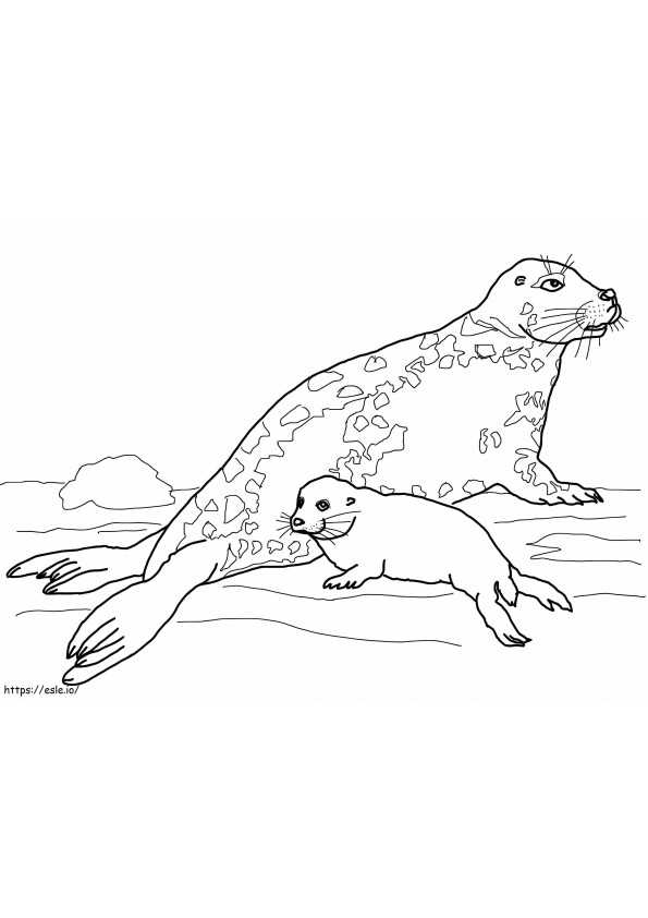 Anjing Laut Abu-Abu Ibu dan Bayi Gambar Mewarnai