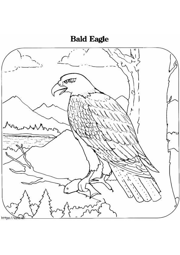 Aquila In Piedi Su Un Ramo Di Un Albero