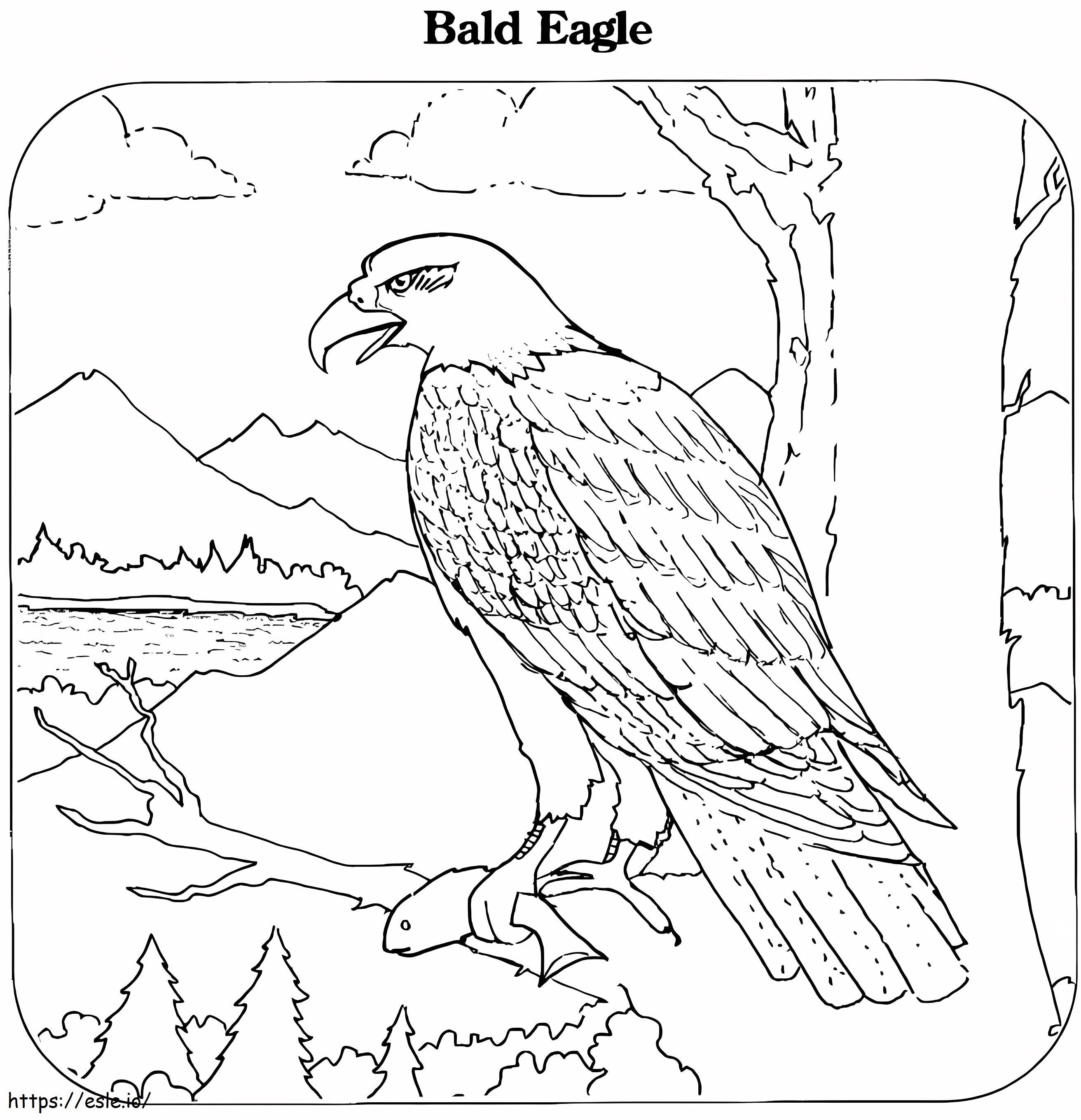 Eagle Standing On A Tree Branch coloring page