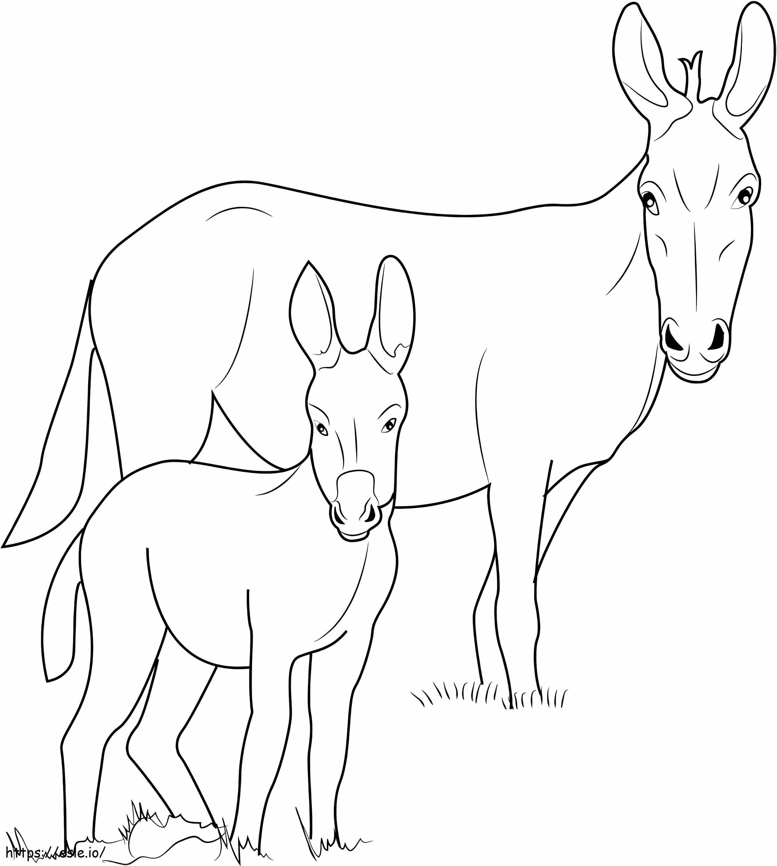 Burro To Mr coloring page