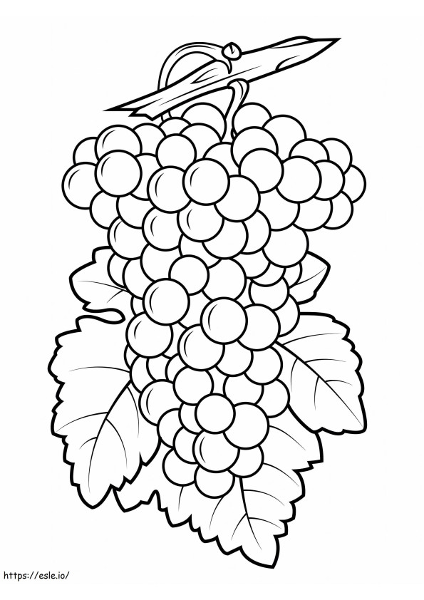 Coloriage Beaux raisins à imprimer dessin