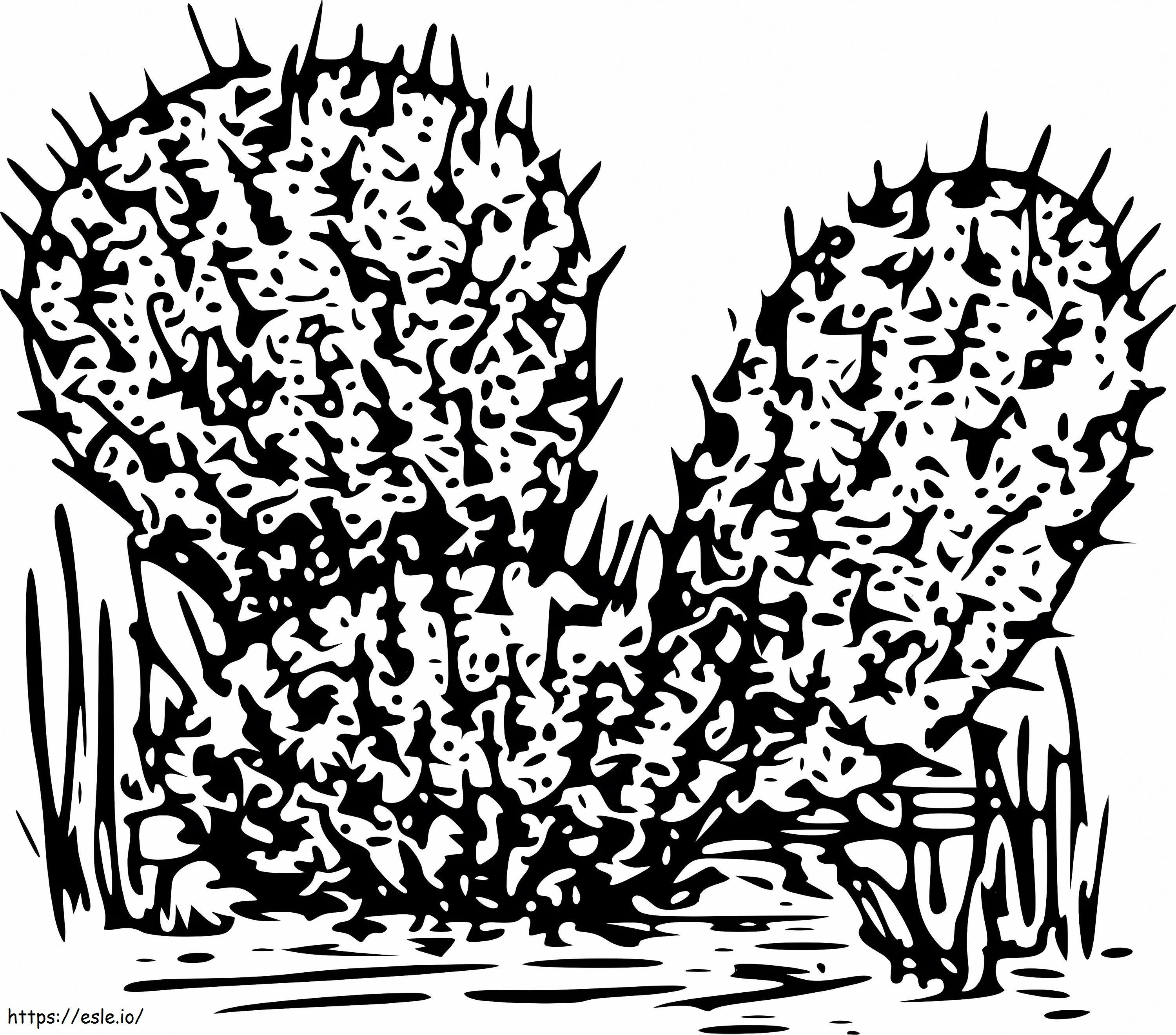 Cactus 1 coloring page