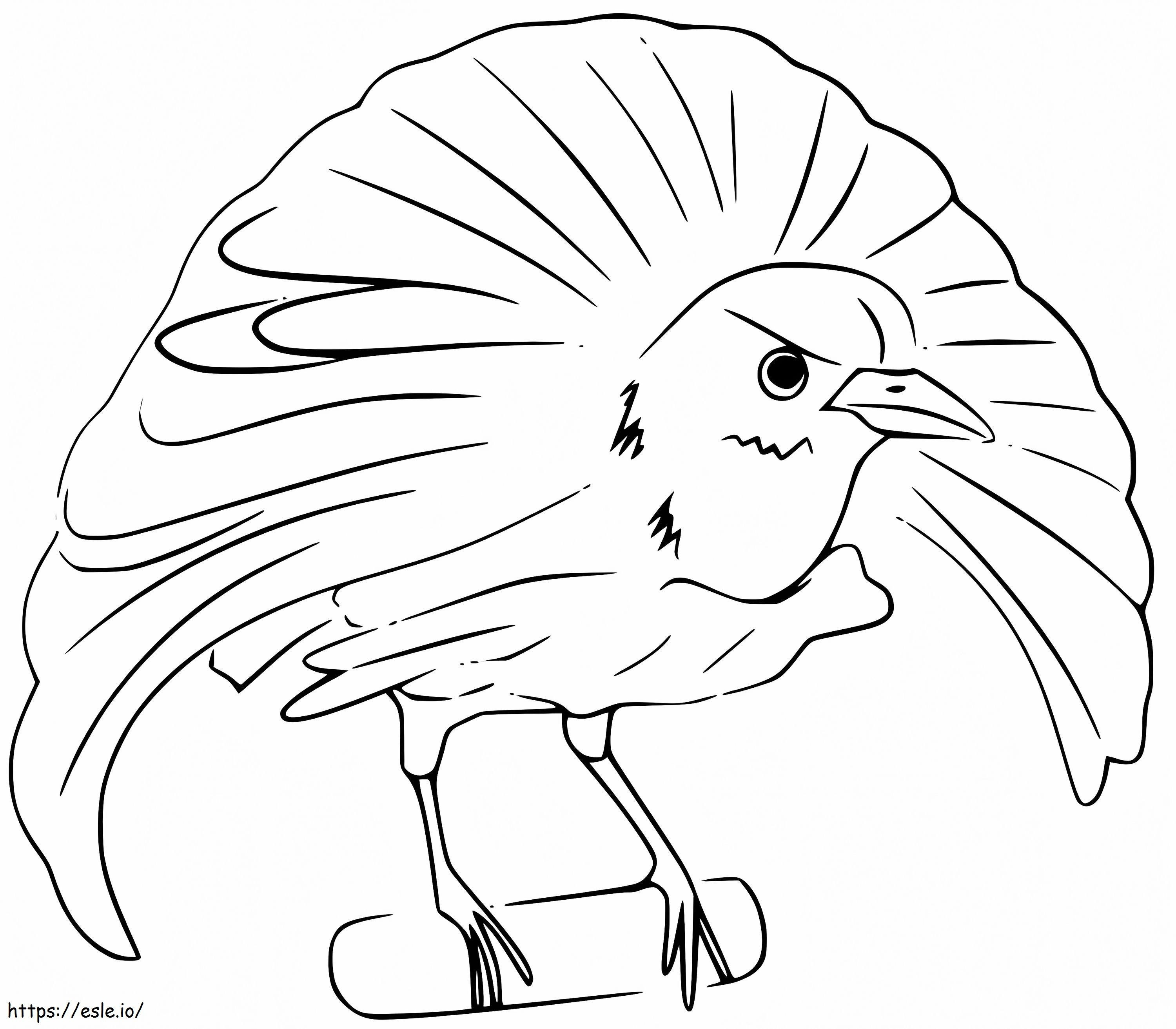 Coloriage Oiseau de paradis simple à imprimer dessin