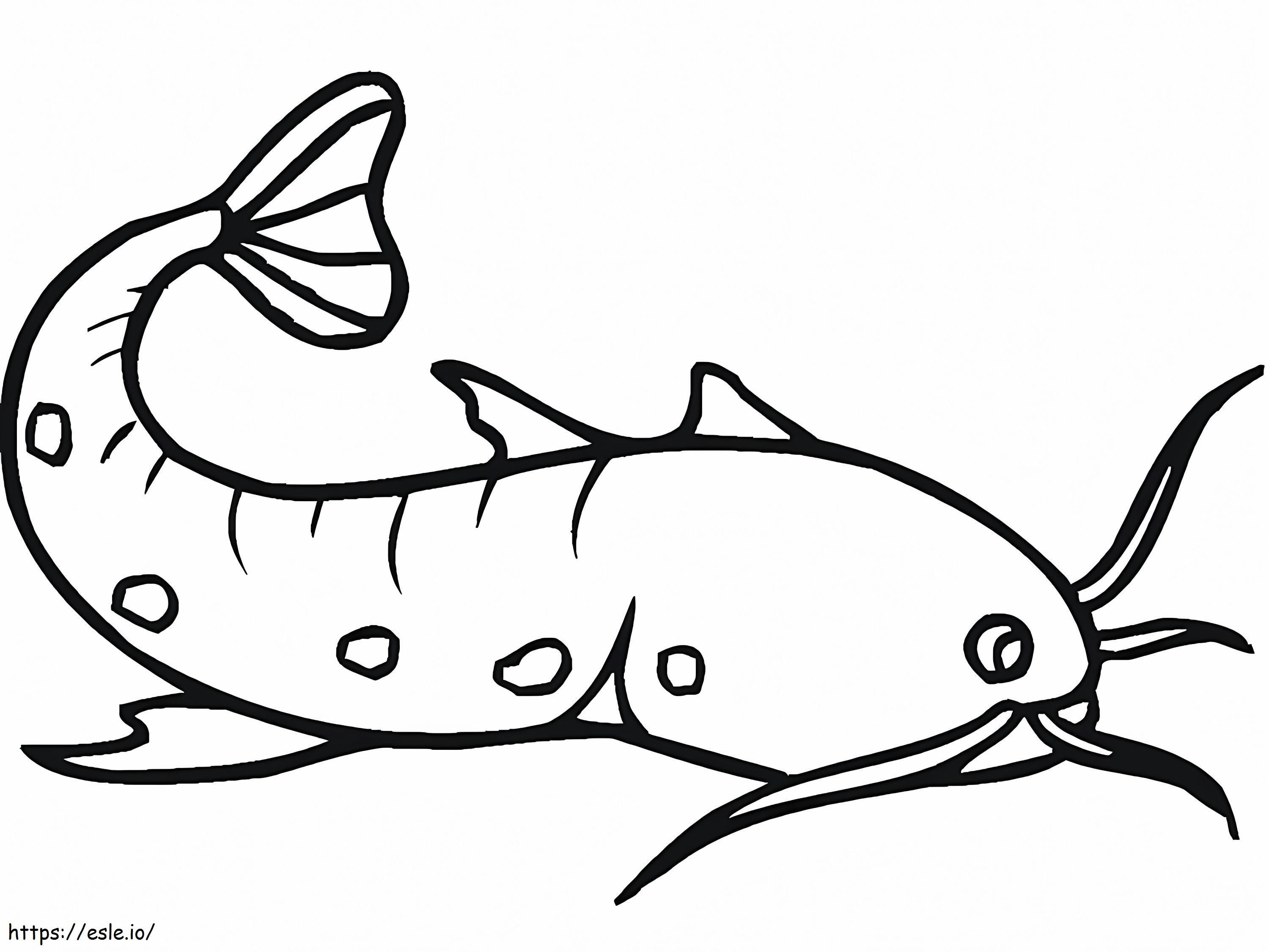Ikan Lele Sederhana Gambar Mewarnai
