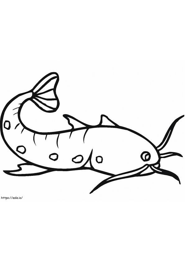 Simple Catfish coloring page