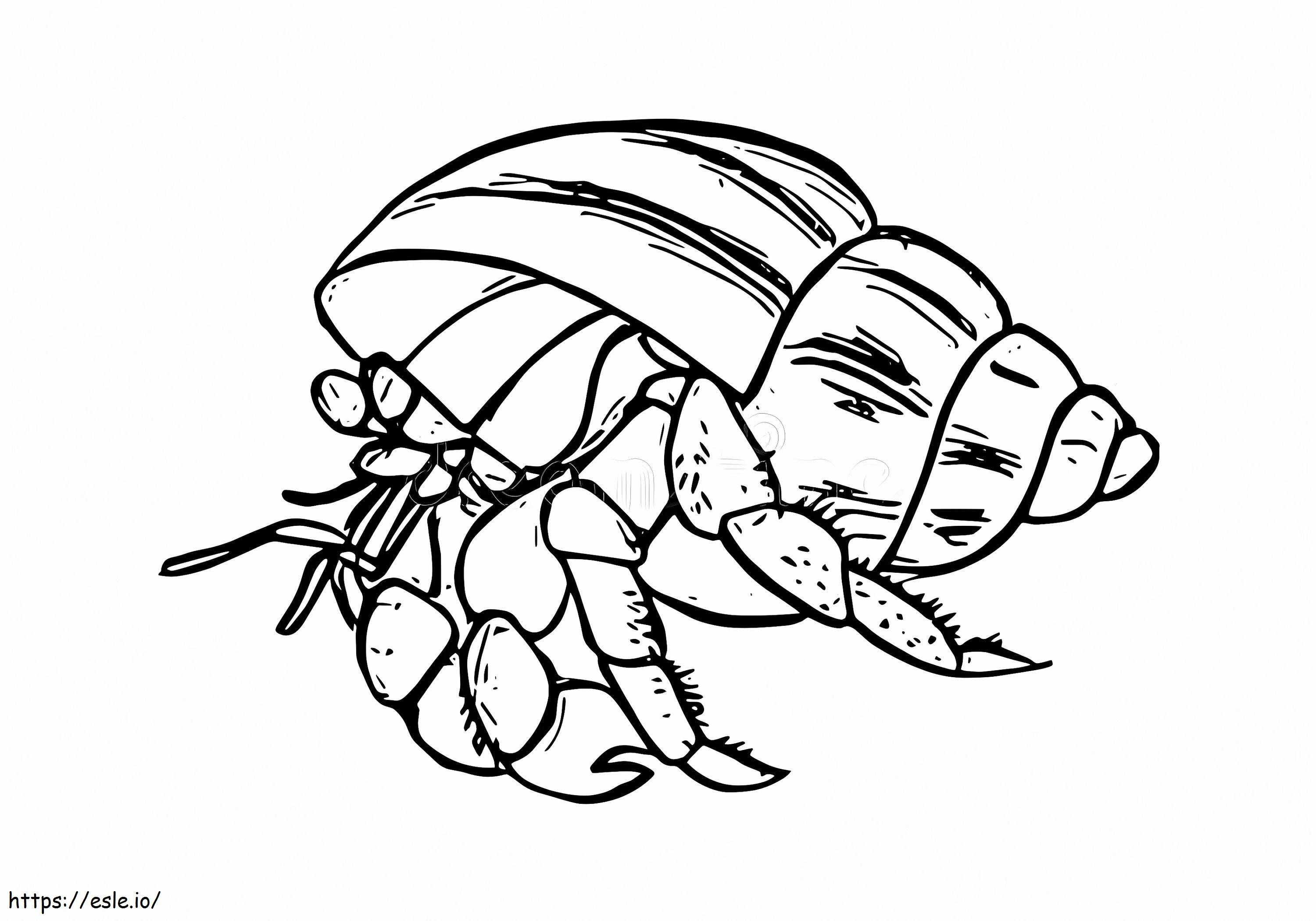 Ocean Hermit Crab coloring page